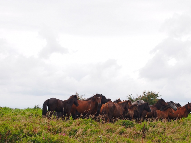 fotografia-pfc-sabucedo-1